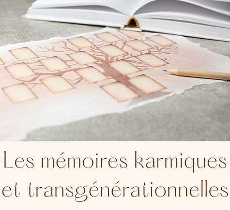 Niveau 5 Les mémoires karmiques et transgénérationnelles